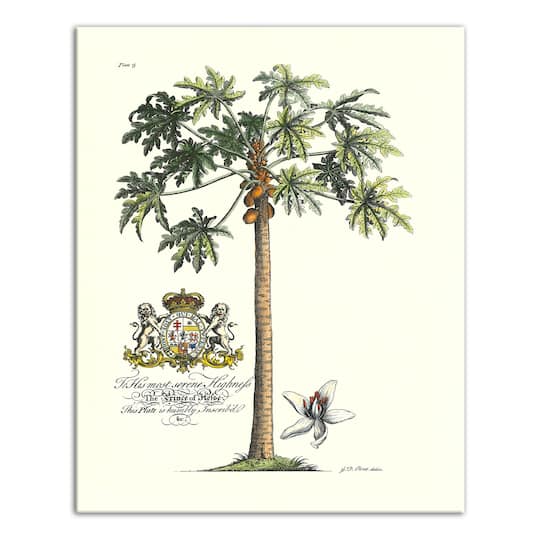 Vintage Botanical Print 16" x 20" Canvas Wall Art
